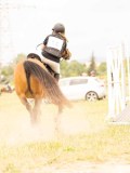 DSC01264
