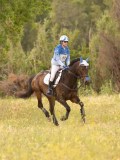 DSC02744 DSC02744