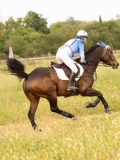 DSC02749 DSC02749