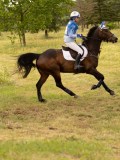 DSC05078 DSC05078