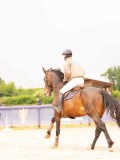 DSC00858 DSC00858