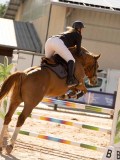DSC03254 DSC03254
