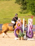 DSC03258 DSC03258