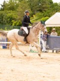DSC05875 DSC05875