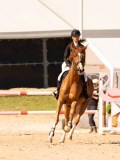 DSC04855 DSC04855