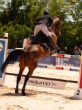 DSC03644 DSC03644