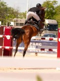 DSC03650 DSC03650