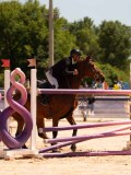 DSC03656 DSC03656