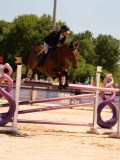 DSC03660 DSC03660