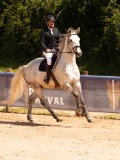DSC08174 DSC08174