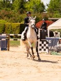 DSC08176 DSC08176