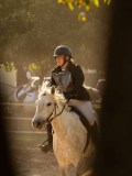 DSC02460