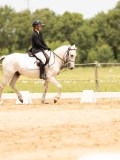 DSC03347 DSC03347