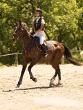 DSC06568 DSC06568