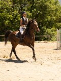 DSC06576 DSC06576