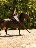 DSC06580 DSC06580