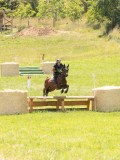 24_03577 24_03577