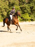 DSC08476 DSC08476