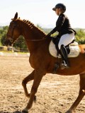 DSC05480 DSC05480
