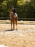 DSC05491 DSC05491