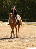 DSC05493 DSC05493
