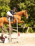 DSC07394 DSC07394