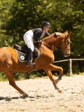DSC07395 DSC07395