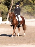 DSC01634 DSC01634