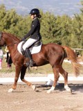 DSC01658 DSC01658