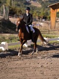 DSC01659 DSC01659