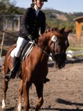 DSC01660 DSC01660
