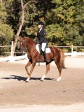 DSC01664 DSC01664