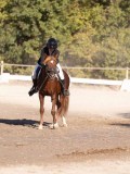 DSC01671 DSC01671