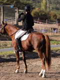 DSC01676 DSC01676