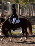 DSC01677 DSC01677