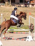 DSC03784 DSC03784
