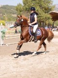 DSC03786 DSC03786