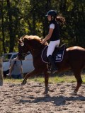 DSC03795 DSC03795