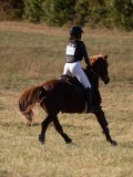 DSC05015 DSC05015