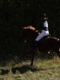 DSC05024 DSC05024