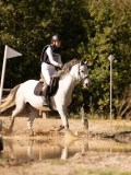 24_03982 24_03982