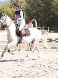 DSC03486 DSC03486