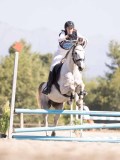 DSC03489 DSC03489