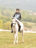 DSC05791 DSC05791