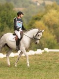 DSC05798 DSC05798