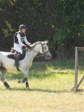 DSC06678 DSC06678