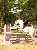 DSC09254 DSC09254