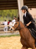 DSC08778 DSC08778