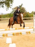 DSC08780 DSC08780