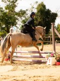 DSC08489 DSC08489